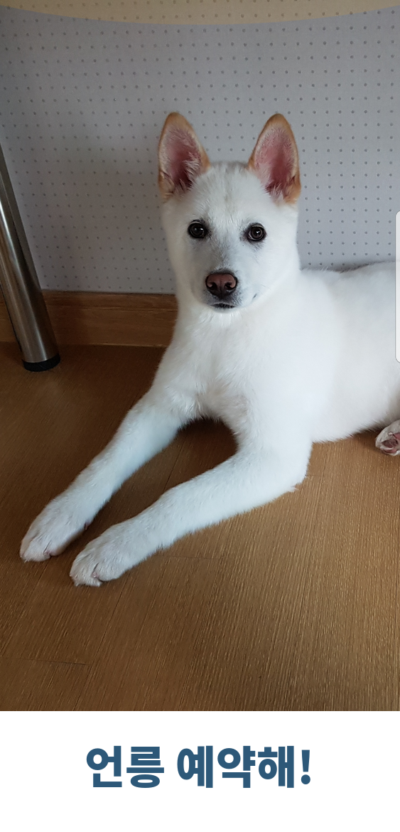 언릉 예약해